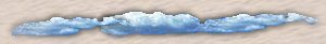 palm_bar.jpg (3967 bytes)