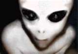 Sherry Shriner is an Alien