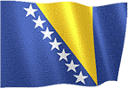 Босанска застава