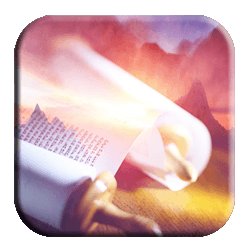 Torah Schedule