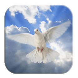 Holy Spirit Baptism